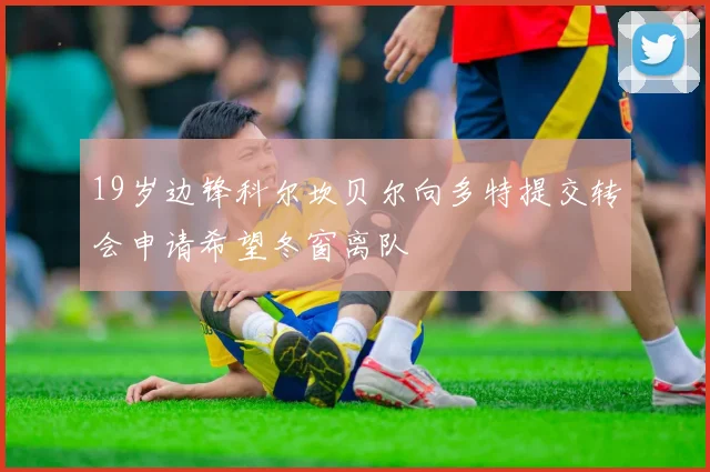19岁边锋科尔坎贝尔向多特提交转会申请希望冬窗离队