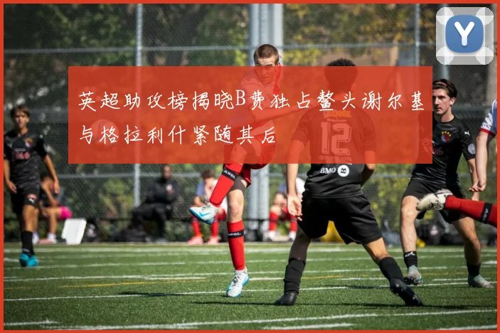 英超助攻榜揭晓B费独占鳌头谢尔基与格拉利什紧随其后