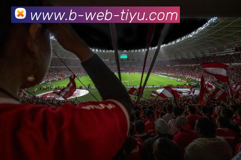 多媒体互动体验